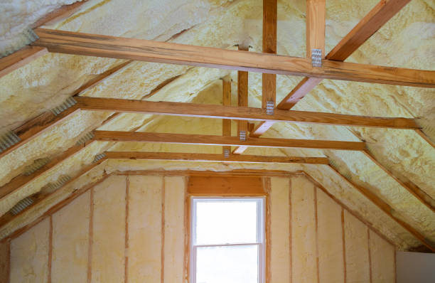 Best Eco-Friendly Insulation in Avra Valley, AZ