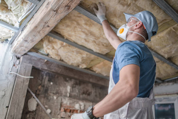 Best Geographic-Specific Insulation Services in Avra Valley, AZ